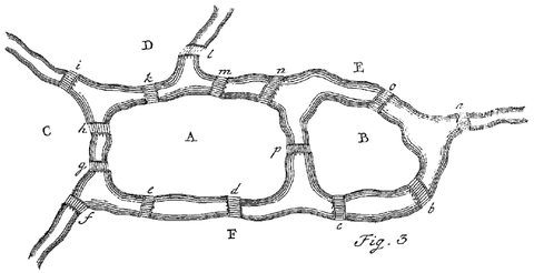 La figure d'Euler dans son article de 1736.